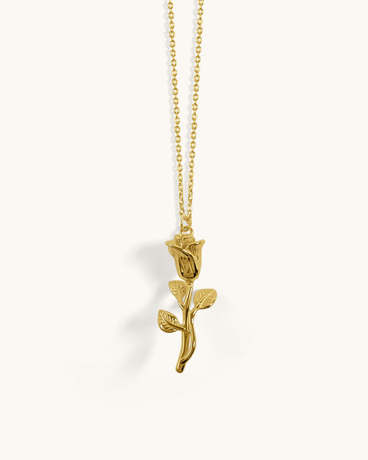 COLLIER XYLA
