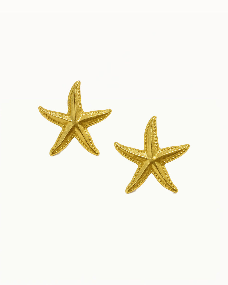 Boucles d'oreilles Chunky Zeester - Indira