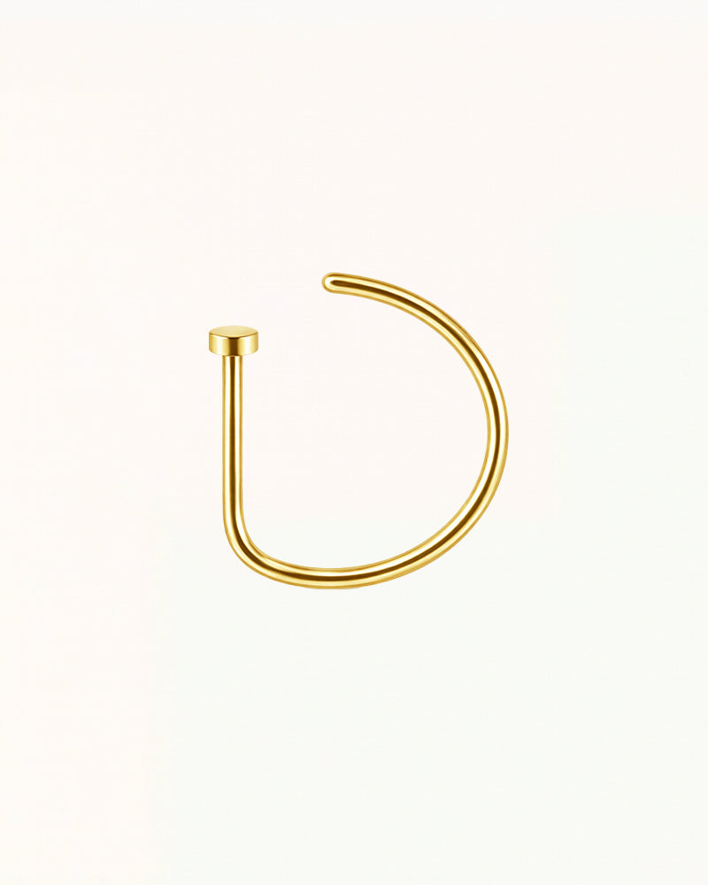 Reagan Neus Piercing